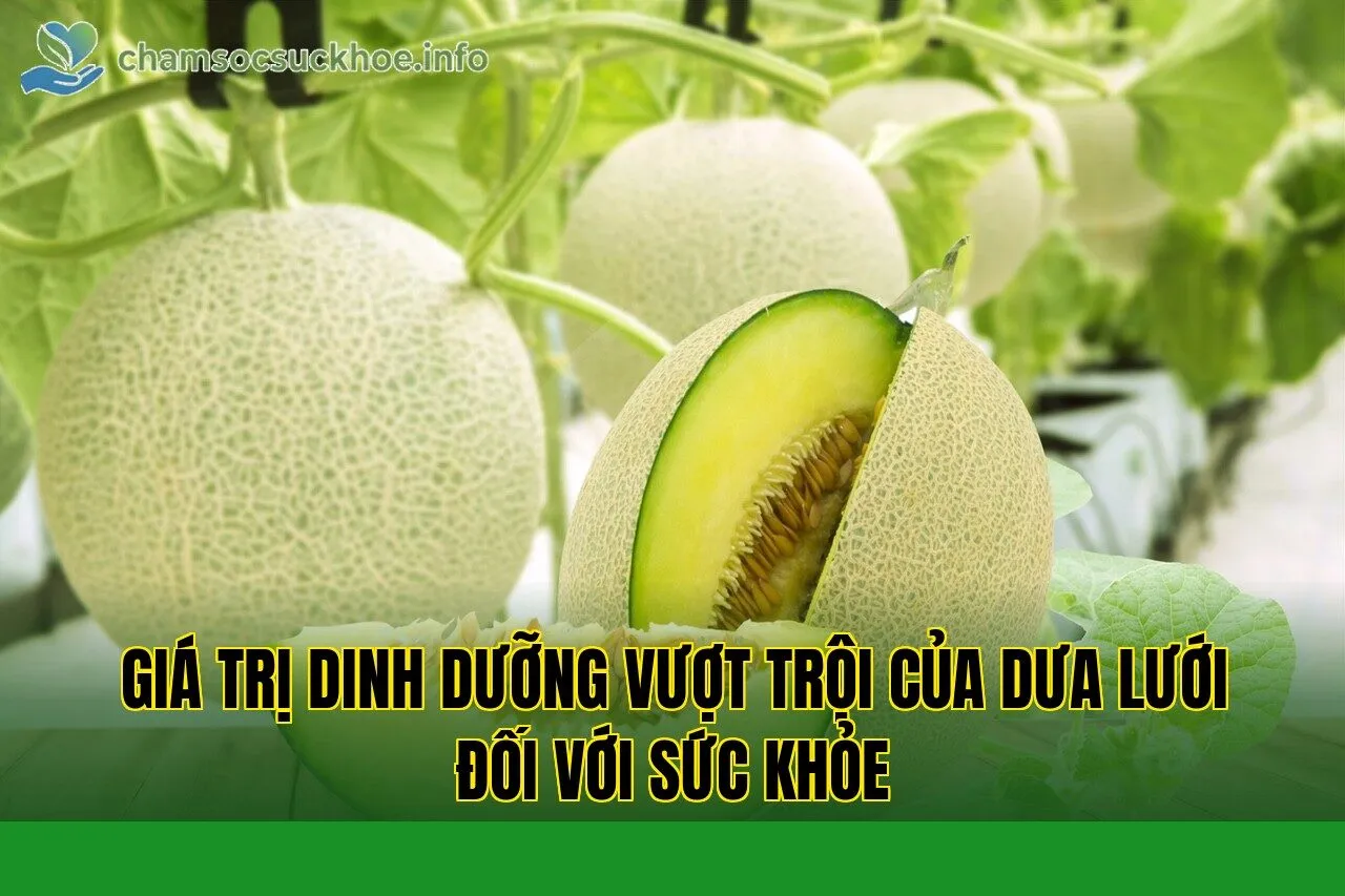 Giá trị dinh dưỡng vượt trội của dưa lưới đối với sức khỏe