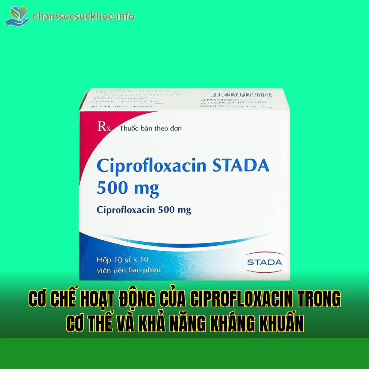 Cơ chế hoạt động của Ciprofloxacin trong cơ thể và khả năng kháng khuẩn