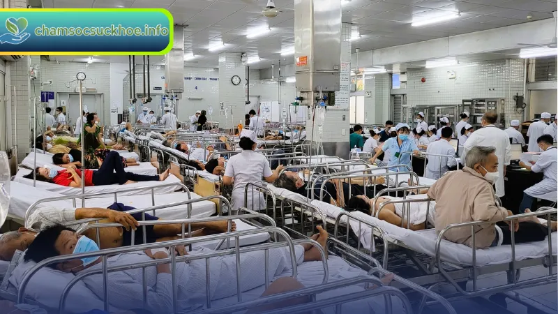 Đội ngũ y bác sĩ và chất lượng dịch vụ tại bệnh viện Chợ Rẫy