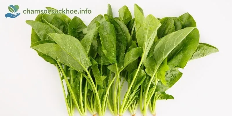 Tuyệt chiêu cho xương khớp chắc khỏe