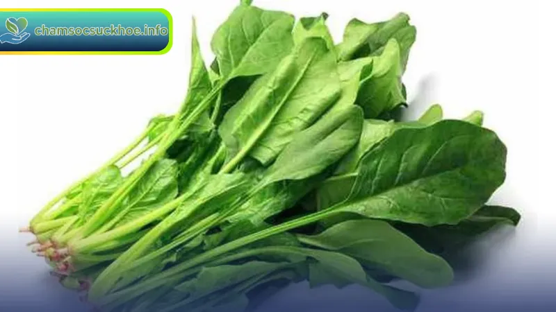 Cải bó xôi trong điều trị và phòng ngừa bệnh lý