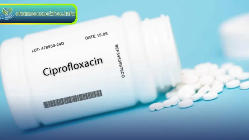 Chỉ định và liều dùng Ciprofloxacin phổ biến trong điều trị nhiễm khuẩn