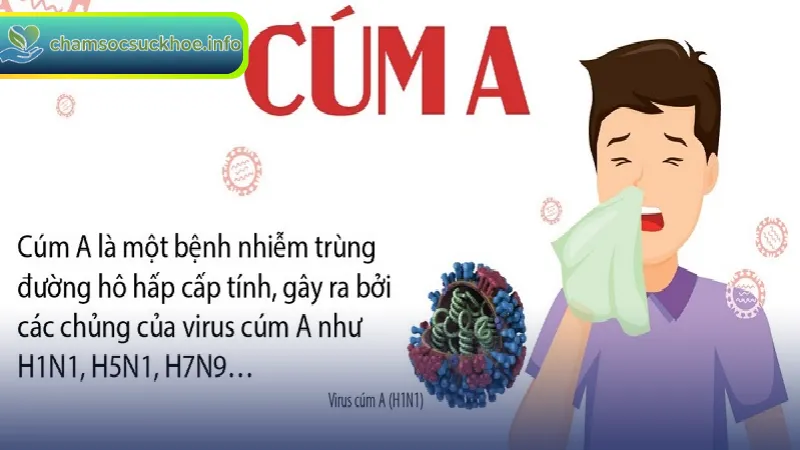 Cúm A: Nguyên Nhân, Triệu Chứng Và Cách Phòng Ngừa Hiệu Quả