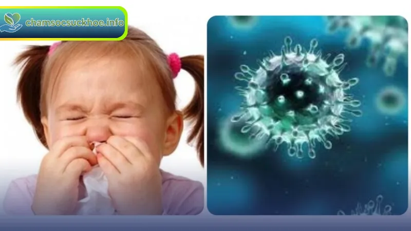 Cúm A xuất hiện do sự xâm nhập của virus Influenza A
