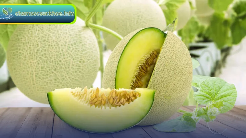 Cách chọn và bảo quản dưa lưới tươi ngon để sử dụng lâu hơn