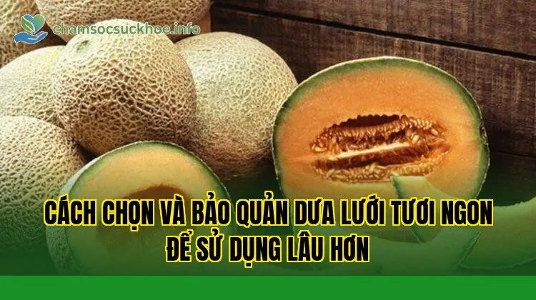 Cách chọn và bảo quản dưa lưới tươi ngon để sử dụng lâu hơn