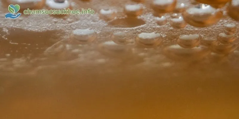 Kombucha bắt nguồn từ Trung Quốc cổ đại