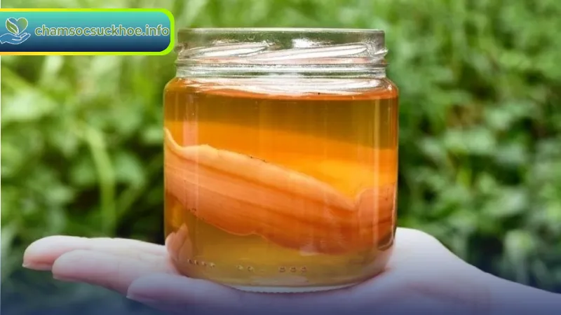 Kombucha bắt nguồn từ Trung Quốc cổ đại