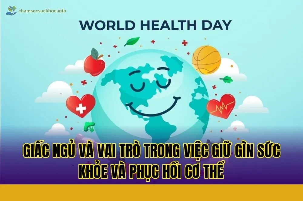 Giấc ngủ và vai trò trong việc giữ gìn sức khỏe và phục hồi cơ thể