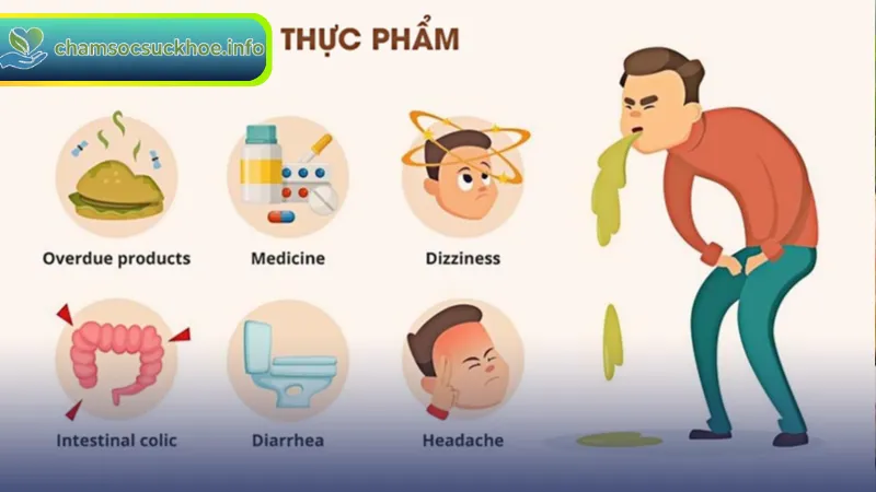 Ngộ Độc Thực Phẩm: Nguyên Nhân, Triệu Chứng Và Cách Xử Lý