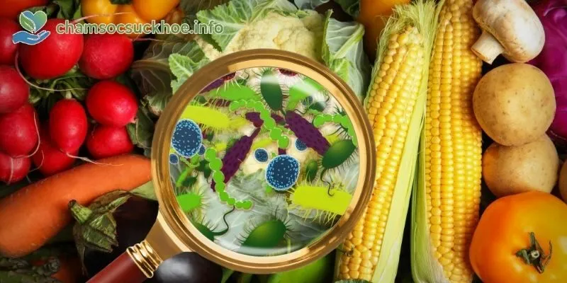 Nguyên nhân gây ngộ độc thực phẩm phổ biến