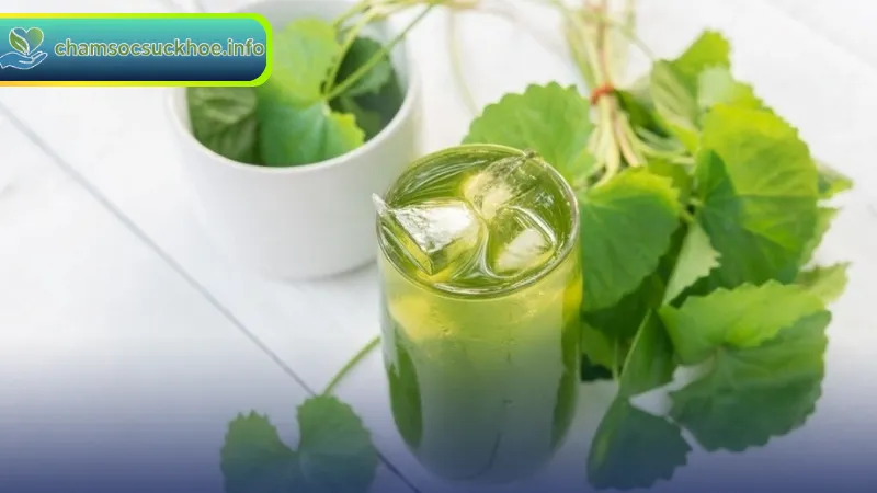 Rau má giàu dinh dưỡng
