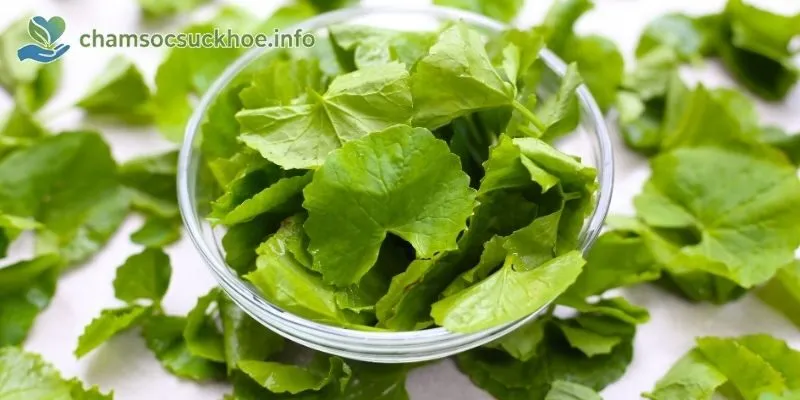 Rau má giàu dinh dưỡng
