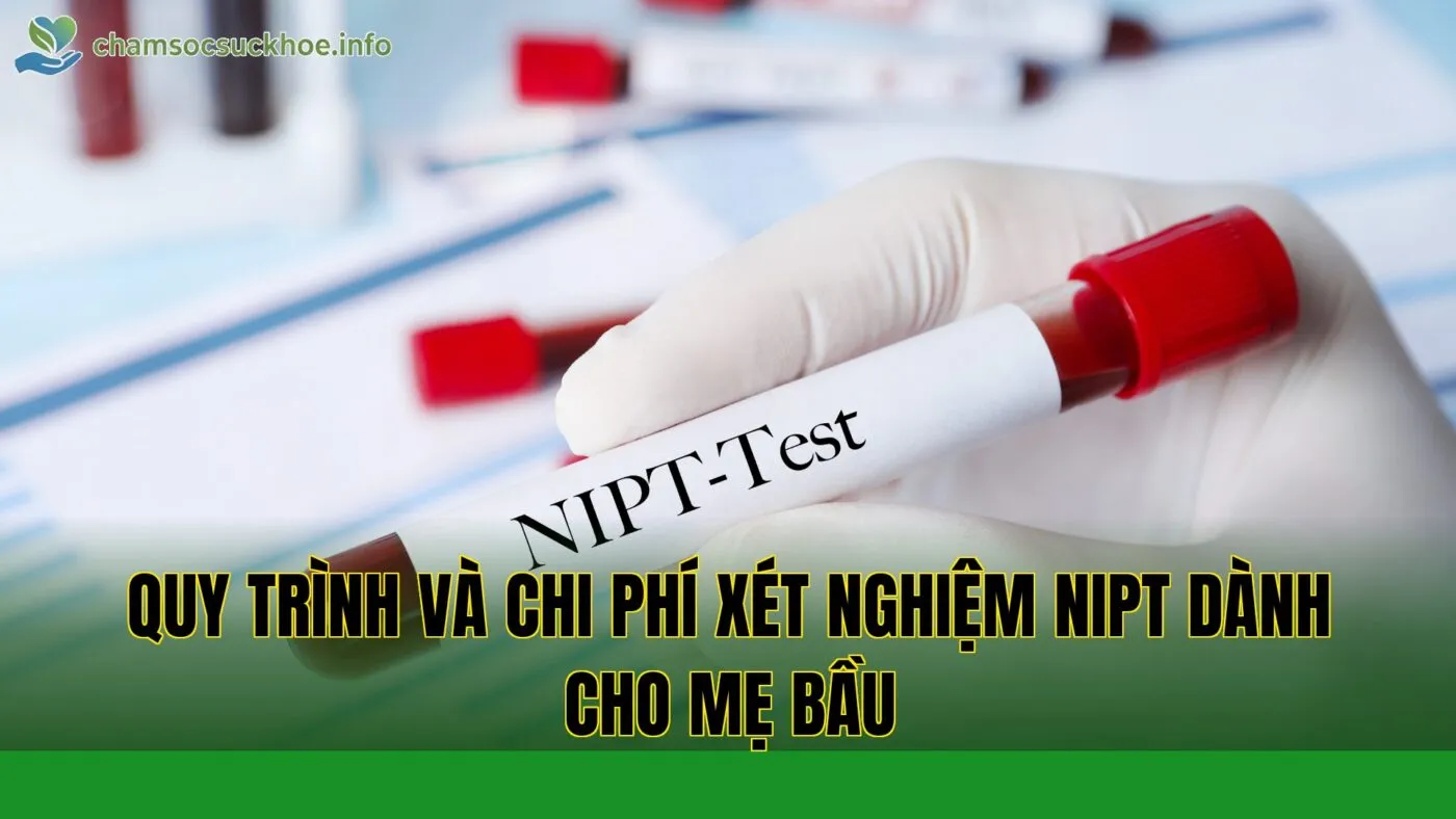 Quy trình và chi phí xét nghiệm NIPT dành cho mẹ bầu
