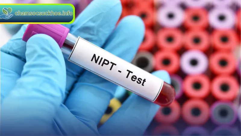 Xét nghiệm NIPT là gì và tại sao cần thực hiện trong thai kỳ