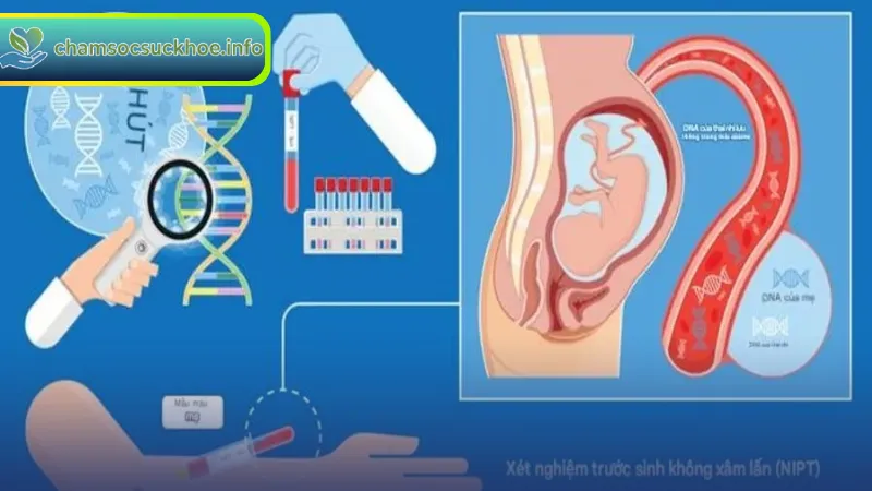 Lợi ích và rủi ro khi thực hiện xét nghiệm NIPT trước sinh