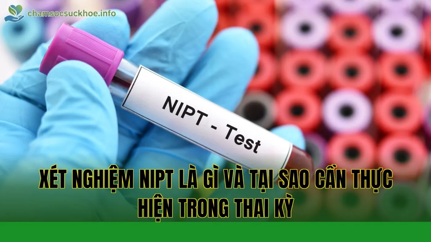Xét nghiệm NIPT là gì và tại sao cần thực hiện trong thai kỳ