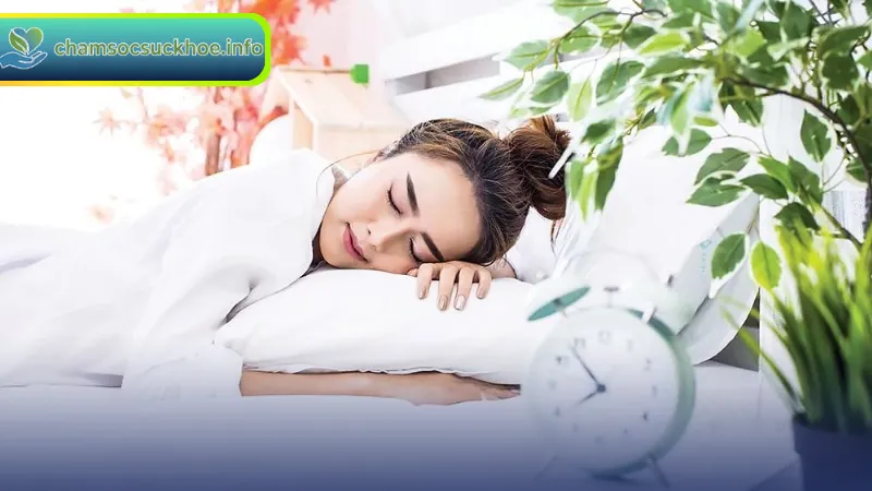 Giấc ngủ và vai trò trong việc giữ gìn sức khỏe và phục hồi cơ thể